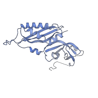4935_6rm3_SB0_v1-3
Evolutionary compaction and adaptation visualized by the structure of the dormant microsporidian ribosome