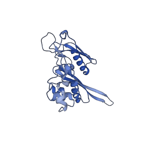 4935_6rm3_SC0_v1-3
Evolutionary compaction and adaptation visualized by the structure of the dormant microsporidian ribosome