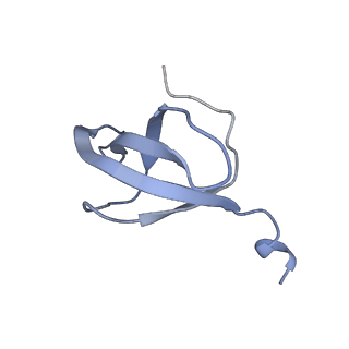 4935_6rm3_SCC_v1-3
Evolutionary compaction and adaptation visualized by the structure of the dormant microsporidian ribosome