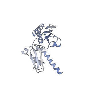 4935_6rm3_SD0_v1-3
Evolutionary compaction and adaptation visualized by the structure of the dormant microsporidian ribosome