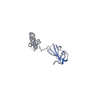 4935_6rm3_SG0_v1-3
Evolutionary compaction and adaptation visualized by the structure of the dormant microsporidian ribosome