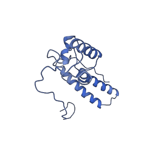 4935_6rm3_SN0_v1-3
Evolutionary compaction and adaptation visualized by the structure of the dormant microsporidian ribosome