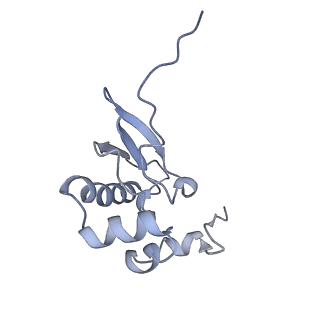4935_6rm3_SP0_v1-3
Evolutionary compaction and adaptation visualized by the structure of the dormant microsporidian ribosome