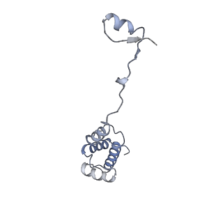 4935_6rm3_SR0_v1-3
Evolutionary compaction and adaptation visualized by the structure of the dormant microsporidian ribosome