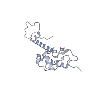 4935_6rm3_SS0_v1-3
Evolutionary compaction and adaptation visualized by the structure of the dormant microsporidian ribosome