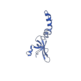 4935_6rm3_SX0_v1-3
Evolutionary compaction and adaptation visualized by the structure of the dormant microsporidian ribosome