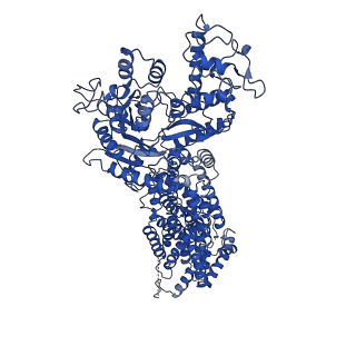 4936_6rmg_A_v1-1
Structure of PTCH1 bound to a modified Hedgehog ligand ShhN-C24II