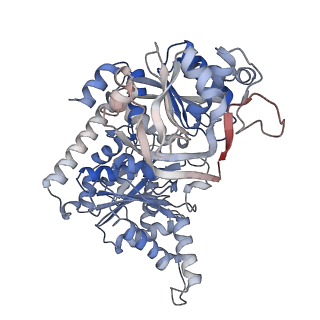 24579_7rnl_A_v1-0
Yeast CTP Synthase (Ura7) H360R Filament bound to Substrates