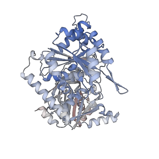 24579_7rnl_B_v1-0
Yeast CTP Synthase (Ura7) H360R Filament bound to Substrates