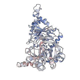 24579_7rnl_C_v1-0
Yeast CTP Synthase (Ura7) H360R Filament bound to Substrates