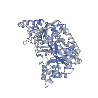 24579_7rnl_D_v1-0
Yeast CTP Synthase (Ura7) H360R Filament bound to Substrates