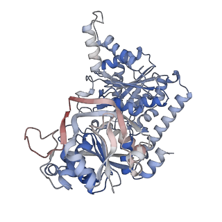 24579_7rnl_E_v1-0
Yeast CTP Synthase (Ura7) H360R Filament bound to Substrates