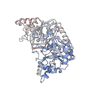24579_7rnl_F_v1-0
Yeast CTP Synthase (Ura7) H360R Filament bound to Substrates