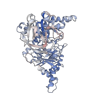 24579_7rnl_G_v1-0
Yeast CTP Synthase (Ura7) H360R Filament bound to Substrates