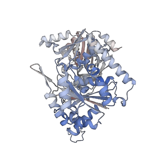 24579_7rnl_H_v1-0
Yeast CTP Synthase (Ura7) H360R Filament bound to Substrates