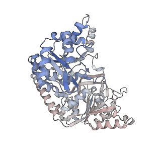 24579_7rnl_J_v1-0
Yeast CTP Synthase (Ura7) H360R Filament bound to Substrates