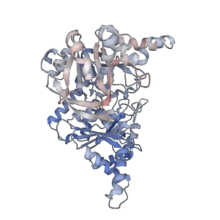 24579_7rnl_K_v1-0
Yeast CTP Synthase (Ura7) H360R Filament bound to Substrates