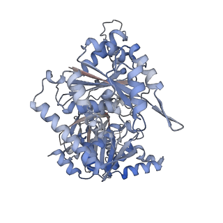 24579_7rnl_L_v1-0
Yeast CTP Synthase (Ura7) H360R Filament bound to Substrates