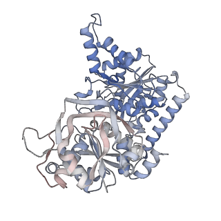 24579_7rnl_M_v1-0
Yeast CTP Synthase (Ura7) H360R Filament bound to Substrates