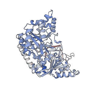 24579_7rnl_N_v1-0
Yeast CTP Synthase (Ura7) H360R Filament bound to Substrates