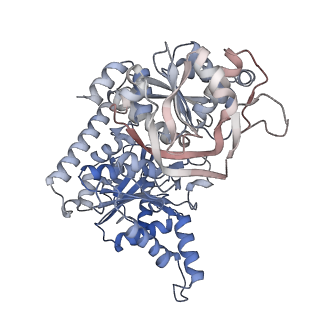 24579_7rnl_O_v1-0
Yeast CTP Synthase (Ura7) H360R Filament bound to Substrates