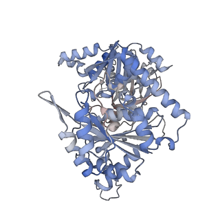 24579_7rnl_P_v1-0
Yeast CTP Synthase (Ura7) H360R Filament bound to Substrates