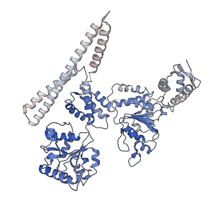 4941_6rn3_A_v1-2
ClpB (DWB mutant) bound to casein in presence of ATPgammaS - state WT-2A
