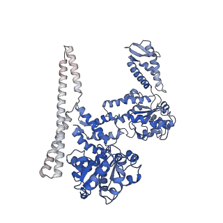 4941_6rn3_B_v1-2
ClpB (DWB mutant) bound to casein in presence of ATPgammaS - state WT-2A