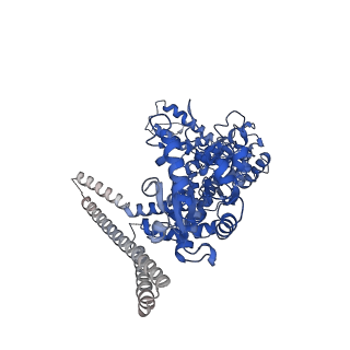 4941_6rn3_C_v1-2
ClpB (DWB mutant) bound to casein in presence of ATPgammaS - state WT-2A