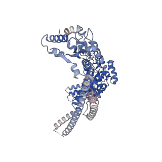 4941_6rn3_D_v1-2
ClpB (DWB mutant) bound to casein in presence of ATPgammaS - state WT-2A