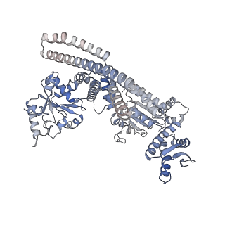 4941_6rn3_F_v1-2
ClpB (DWB mutant) bound to casein in presence of ATPgammaS - state WT-2A