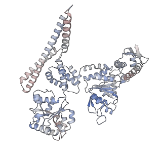4942_6rn4_A_v1-3
ClpB (DWB mutant) bound to casein in presence of ATPgammaS - state WT-2B