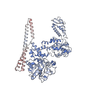 4942_6rn4_B_v1-3
ClpB (DWB mutant) bound to casein in presence of ATPgammaS - state WT-2B