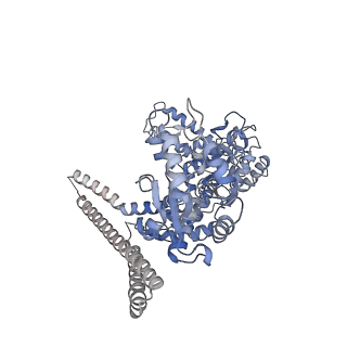 4942_6rn4_C_v1-3
ClpB (DWB mutant) bound to casein in presence of ATPgammaS - state WT-2B