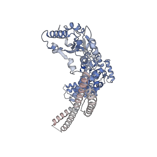 4942_6rn4_D_v1-3
ClpB (DWB mutant) bound to casein in presence of ATPgammaS - state WT-2B