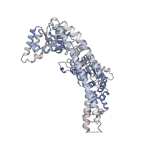 4942_6rn4_E_v1-3
ClpB (DWB mutant) bound to casein in presence of ATPgammaS - state WT-2B