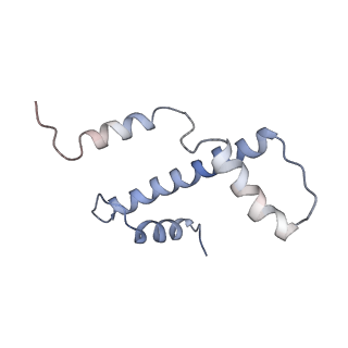 4960_6rny_A_v1-1
PFV intasome - nucleosome strand transfer complex