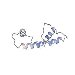 4960_6rny_B_v1-1
PFV intasome - nucleosome strand transfer complex