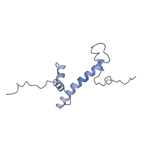 4960_6rny_C_v1-1
PFV intasome - nucleosome strand transfer complex