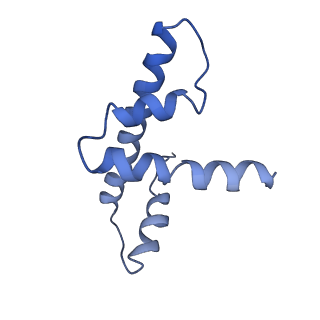 4960_6rny_D_v1-1
PFV intasome - nucleosome strand transfer complex