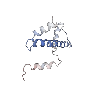 4960_6rny_E_v1-1
PFV intasome - nucleosome strand transfer complex