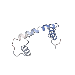 4960_6rny_F_v1-1
PFV intasome - nucleosome strand transfer complex