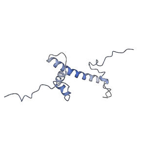 4960_6rny_G_v1-1
PFV intasome - nucleosome strand transfer complex