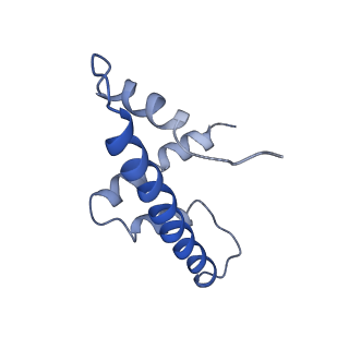 4960_6rny_H_v1-1
PFV intasome - nucleosome strand transfer complex