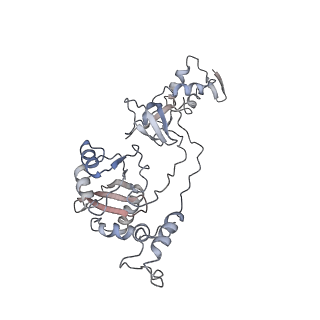 4960_6rny_K_v1-1
PFV intasome - nucleosome strand transfer complex