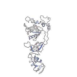 4960_6rny_O_v1-1
PFV intasome - nucleosome strand transfer complex