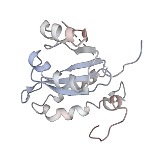 4960_6rny_P_v1-1
PFV intasome - nucleosome strand transfer complex