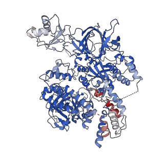 24610_7roz_A_v1-1
Structure of RNA-dependent RNA polymerase 2 (RDR2) from Arabidopsis thaliana