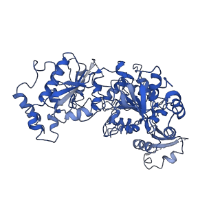 4970_6ro4_A_v1-1
Structure of the core TFIIH-XPA-DNA complex
