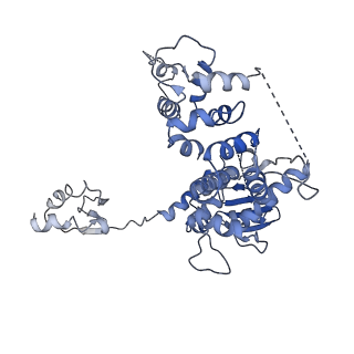 4970_6ro4_C_v1-1
Structure of the core TFIIH-XPA-DNA complex